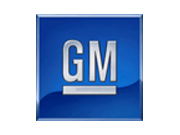 General Motors (GM) Logo.